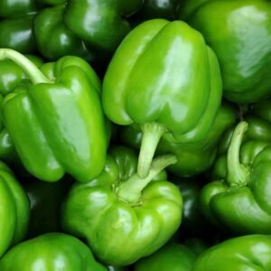 Capsicum